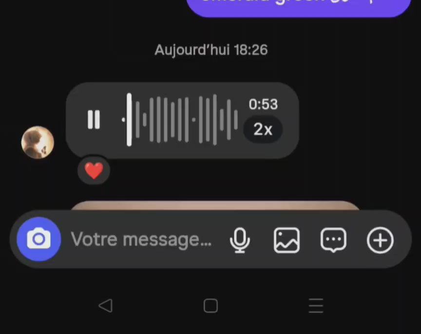 Charger la vidéo : 